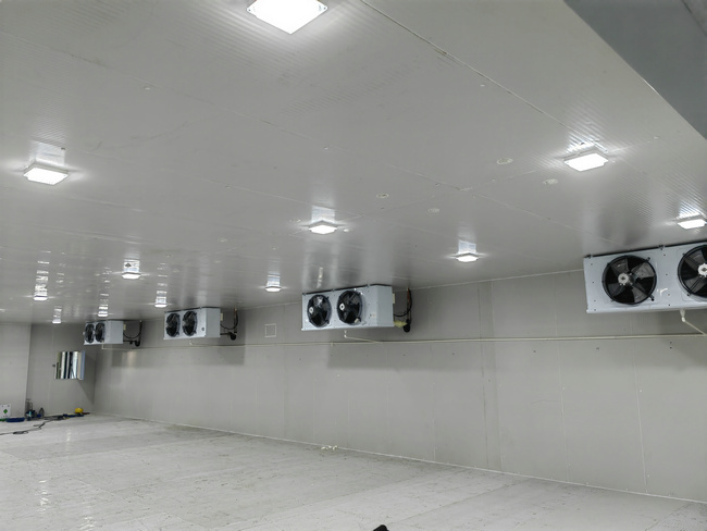 100平方肉食冷庫造價(jià)需要多少錢