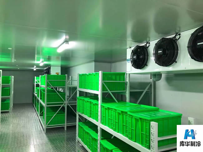 肉類速凍冷庫溫度是多少？肉類冷庫怎么建造