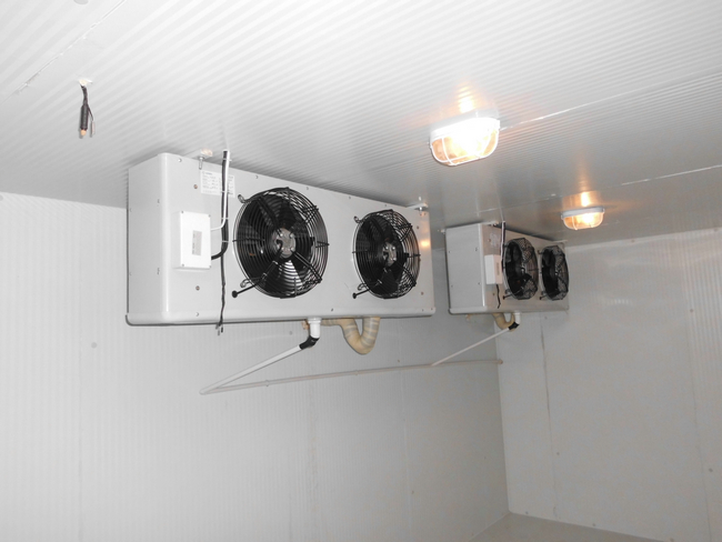 什么是冰庫？冰庫如何設計建造